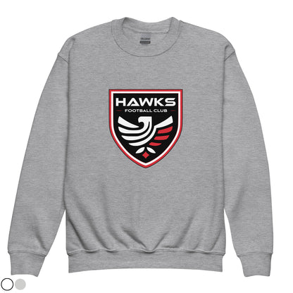 Youth Sweatshirt - Hawks Shield